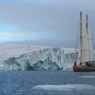 L’océan Arctique, berceau de la biodiversité virale
