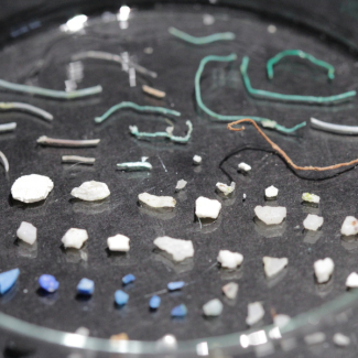 Omniprésence des microplastiques dans les fleuves européens 
