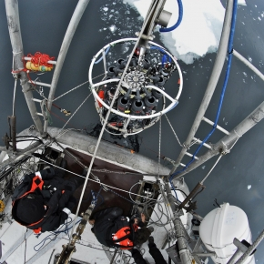 La mission Tara Oceans révèle les variations de la biodiversité planctonique et son activité, de l’équateur jusqu’aux pôles 