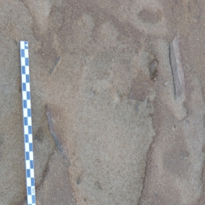 La composition d’un groupe d’hommes de Neandertal retracée à partir de leurs empreintes