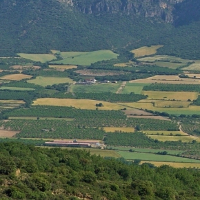Des mosaïques de cultures plus complexes pour une plus grande biodiversité dans les paysages agricoles 