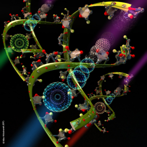 Déclencher la réponse immune face aux tumeurs grâce à de l’ARN messager de synthèse