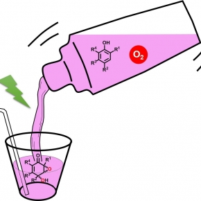 Un cocktail efficace pour valoriser les phénols